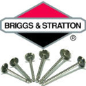 Immagine per la categoria Valvole Briggs & Stratton