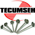 Picture for category Tecumseh valves