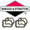 Immagine per la categoria Briggs & Stratton teste cilindro