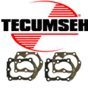 Picture for category Tecumseh Head cylinders